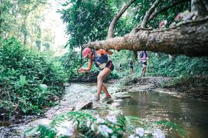 BIB: 
                            <button type="button" onclick="openModal(25434657)" class="btn btn-primary btn-sm float-right btn-popup" data-toggle="modal" data-target=".modal-high-quality">
                        <i class="fas fa-shopping-cart"></i> Add to Cart
                    </button>
                                            <button type="button" onclick="isThisMe(25434657, true)" class="btn btn-success btn-sm float-right btn-popup btn-isme hidden" data-toggle="tooltip" data-placement="bottom" title="นี่คือรูปของคุณใช่ไหม คลิกที่นี่เพื่อเอาเข้าอัลบั้ม">
                        <i class="fas fa-plus"></i> Add to album
                    </button>
                    <button type="button" onclick="isThisMe(25434657, false)" class="btn btn-warning btn-sm float-right btn-popup btn-isnotme hidden">
                        <i class="fas fa-ban"></i> Remove from album
                    </button>